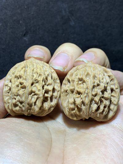 精美稀有小众凤凰岭狮子头麻核桃文玩核桃一对， - 精美稀有小众凤凰岭狮子头麻核桃文玩核桃一对，