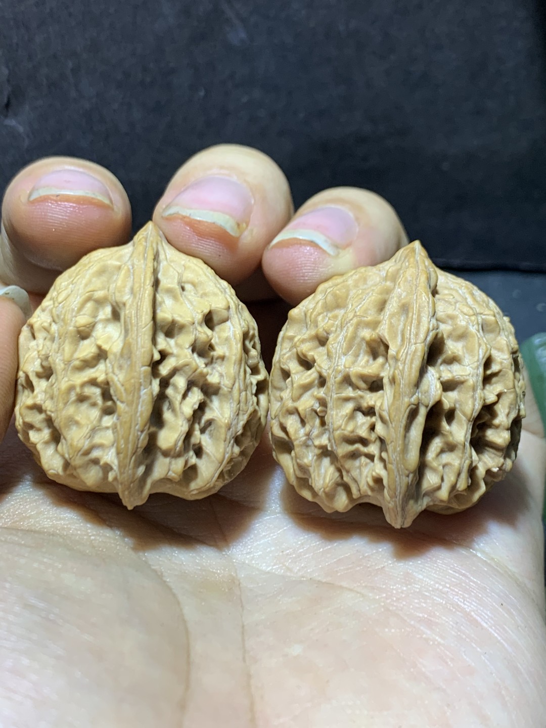 精美稀有小众凤凰岭狮子头麻核桃文玩核桃一对，