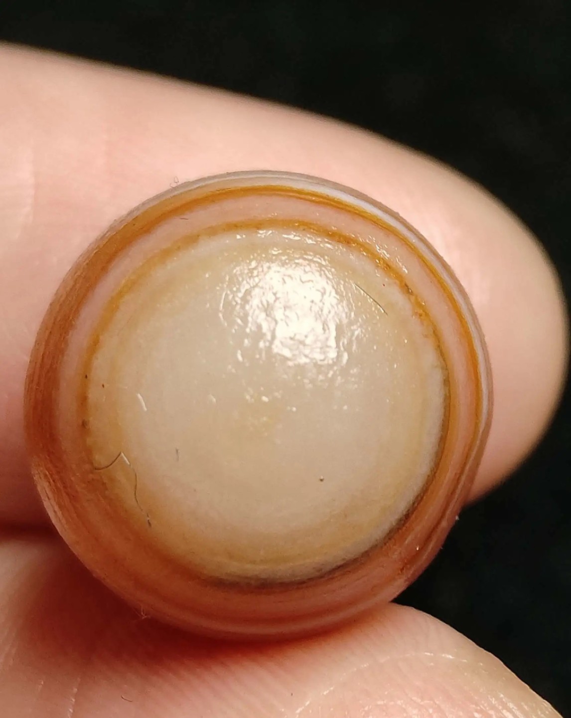 ｜冷门出品｜精选专拍·第贰拾壹场· 花眼玛瑙14.1/14.1mm