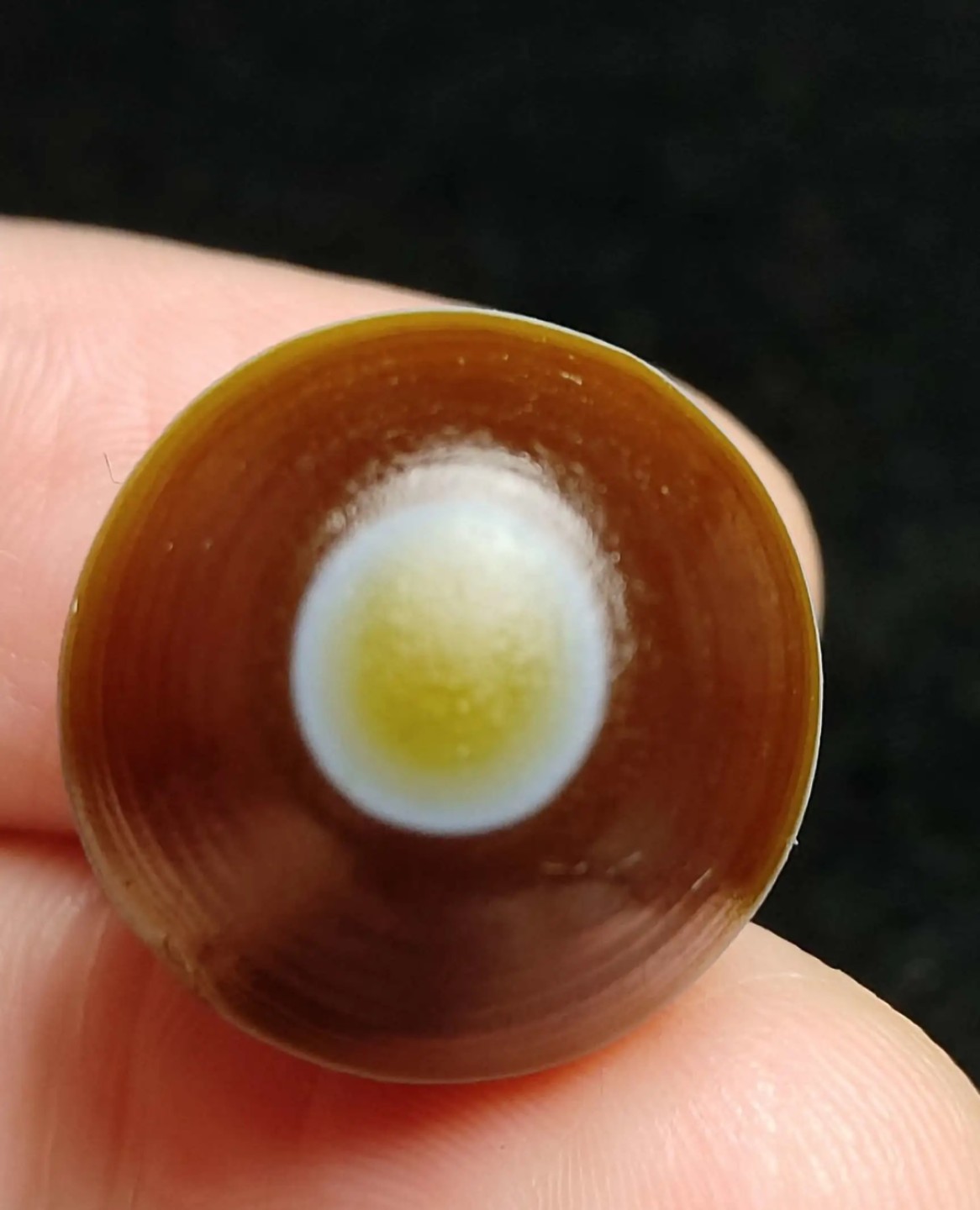 ｜冷门出品｜精选专拍·第贰拾壹场· 花眼玛瑙17.2/17.2mm
