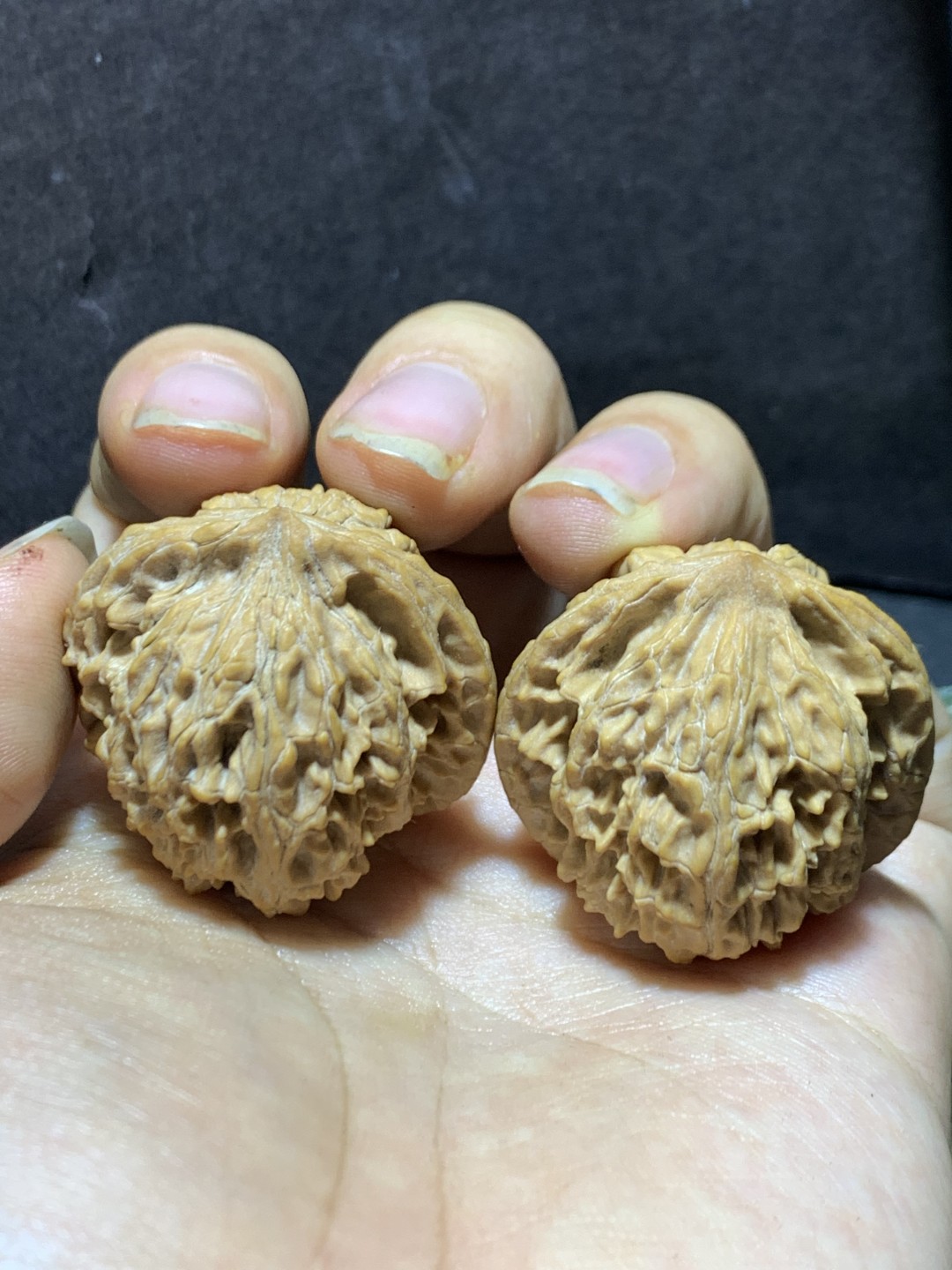 精美稀有小众凤凰岭狮子头麻核桃文玩核桃一对，