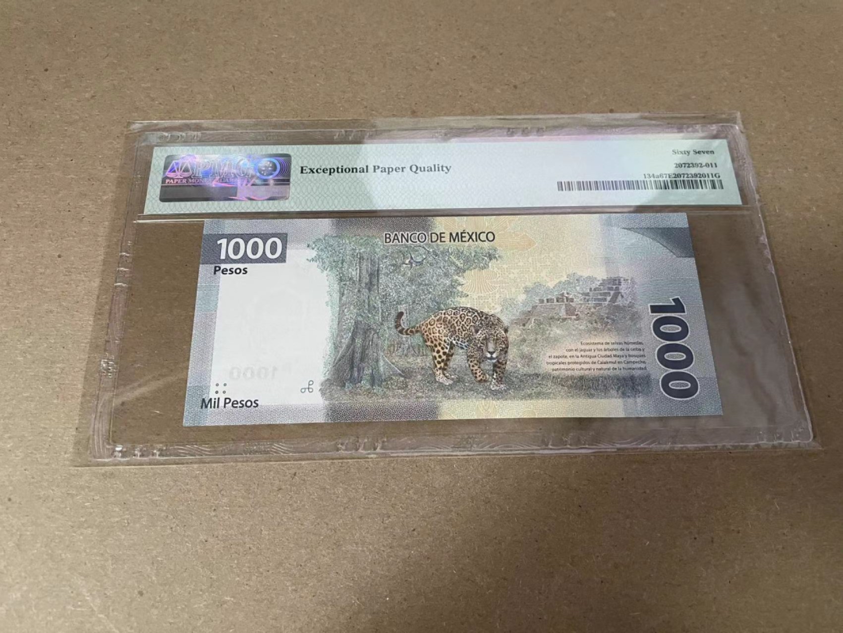 【Blue Auction】✨世界纸币精拍第309期——莫总专场XVII【精】 【AA无47】墨西哥 2019年1000比索 PMG67EPQ 