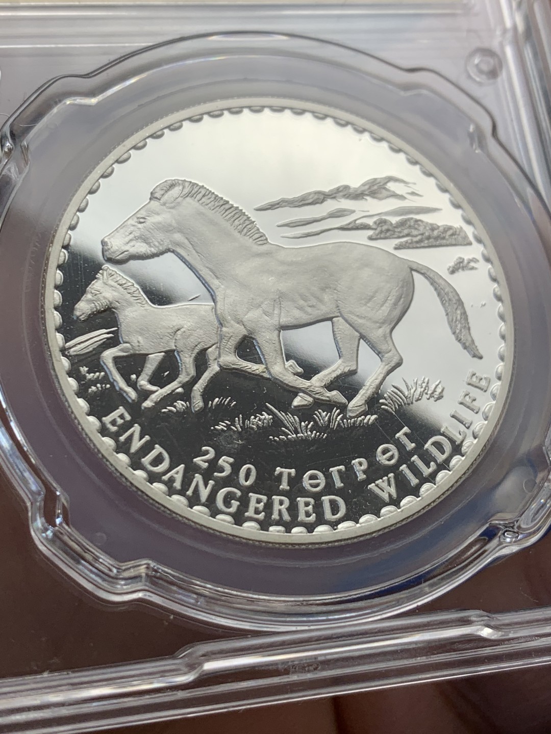 《竞宝斋》第149场-周日，周一，周四 3场 (全场包邮) 信泰PF69UC 1992年蒙古野马银币 31.4克 925银