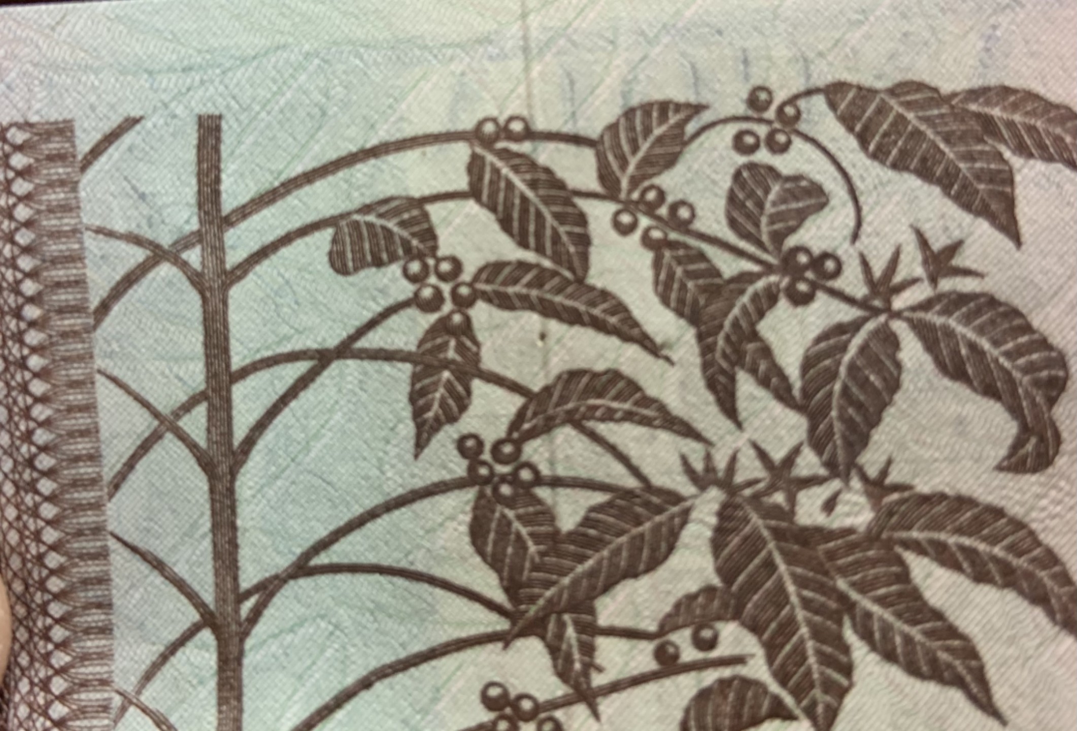 收藏联盟Quantum Auction 第246期拍卖 安哥拉1972-73年20，50，100埃斯库多 品相UNC- 50有针孔，其余两张边缘轻微斑