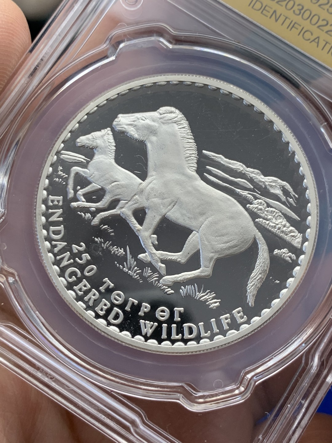 《竞宝斋》第149场-周日，周一，周四 3场 (全场包邮) 信泰PF69UC 1992年蒙古野马银币 31.4克 925银