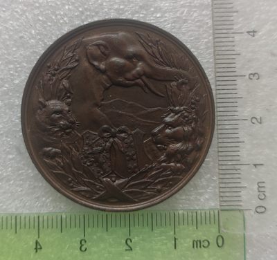 巴斯克收藏第108期 厚重大铜章、银章专场 4/5/6号三场连拍 全场包邮  - 荷兰1888年阿姆斯特丹阿提斯动物园建成50周年纪念铜章