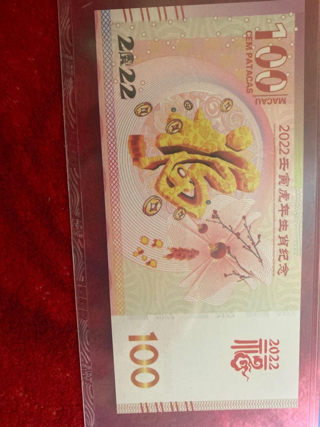 小英拍第693期
