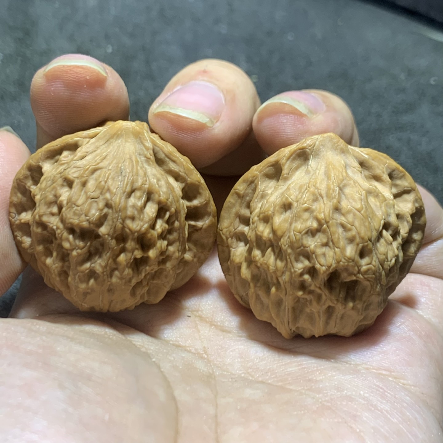 仅此一对，盘山公子帽文玩核桃麻核桃一对！