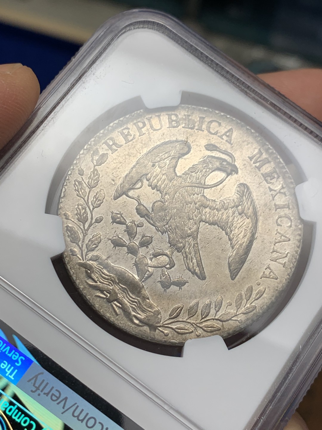 《竞宝斋》第149场-周日，周一，周四 3场 (全场包邮) NGC UNC 墨西哥 1895年 8R 花边鹰洋 大银币 地板好 光度也好