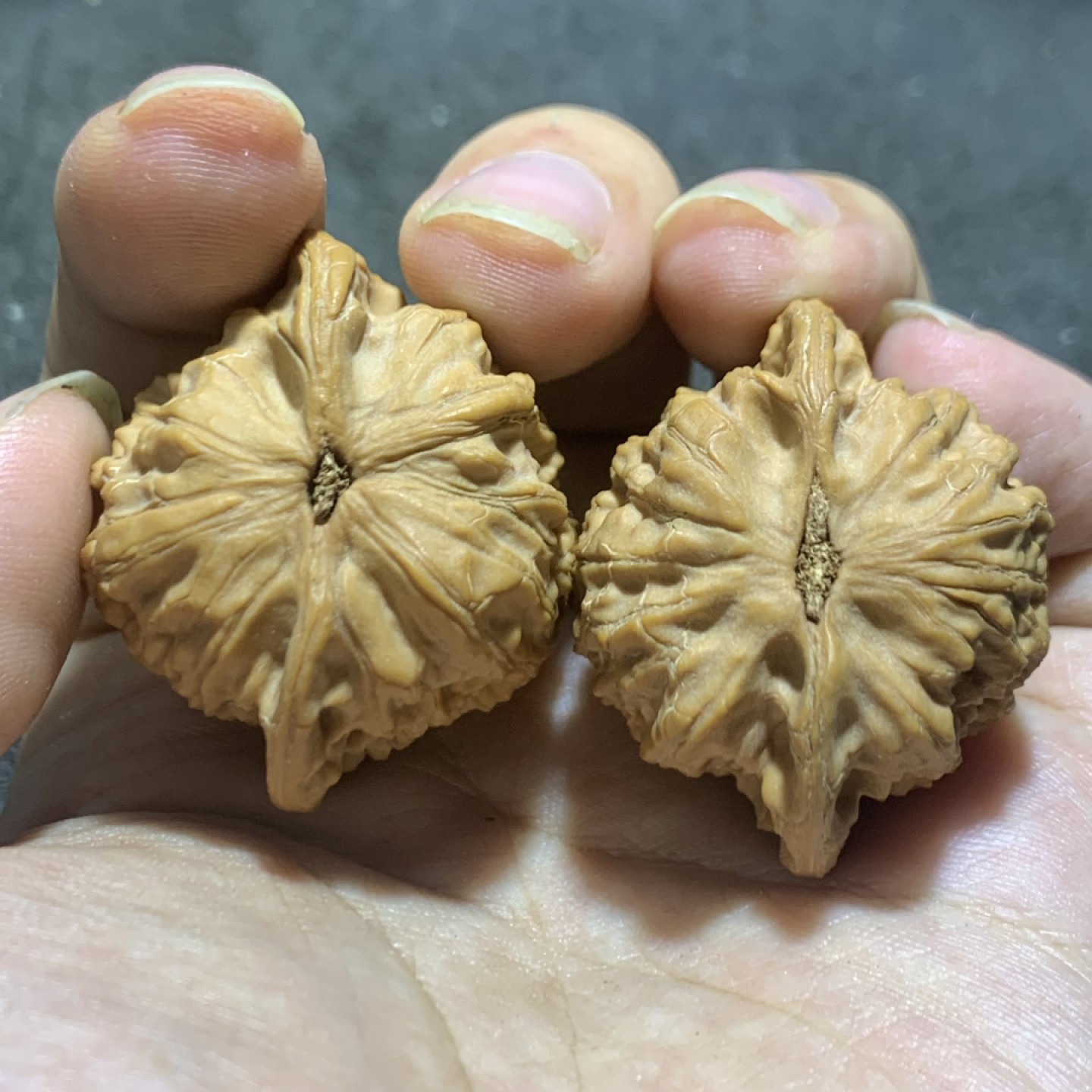仅此一对，盘山公子帽文玩核桃麻核桃一对！