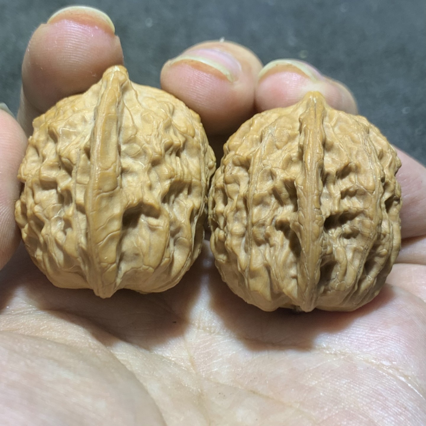 仅此一对，盘山公子帽文玩核桃麻核桃一对！