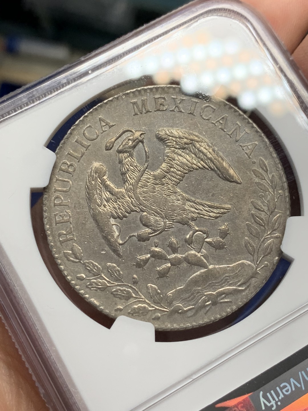 《竞宝斋》第149场-周日，周一，周四 3场 (全场包邮) NGC UNC 墨西哥 1895年 8R 花边鹰洋 大银币 地板好 光度也好