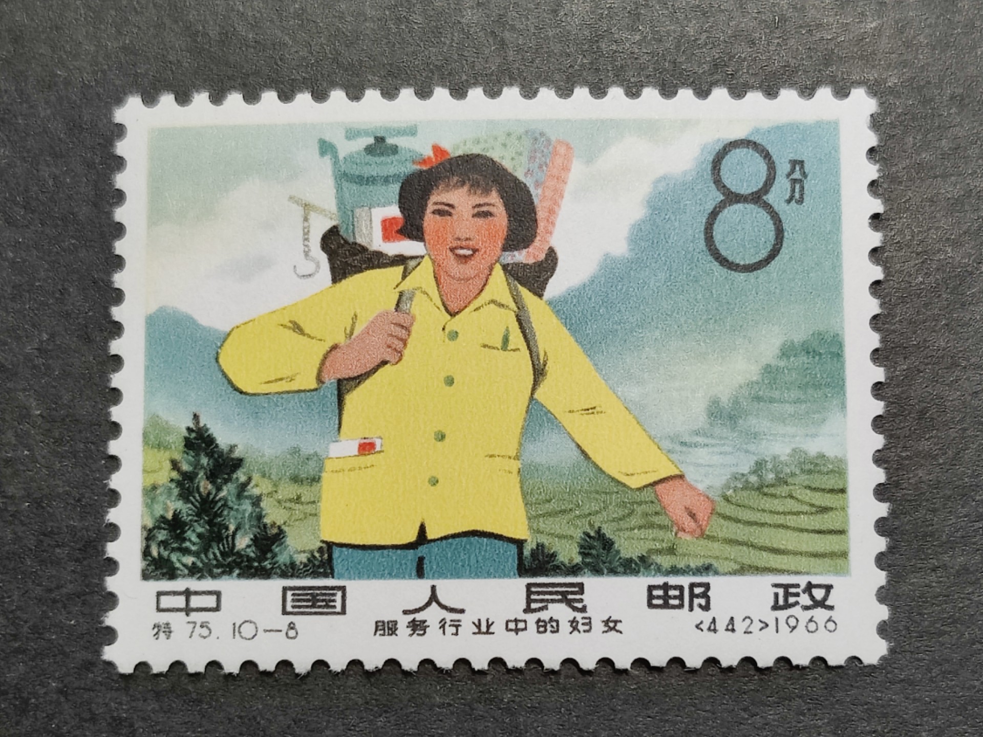 洪涛臻品批发群  精选邮票限时拍卖第二百八十一期 特75妇女-8全新 面艳背白票挺 原胶雪白润亮 完美过灯！角尖齿全 评级品质！OG全品！ 经典老纪特！