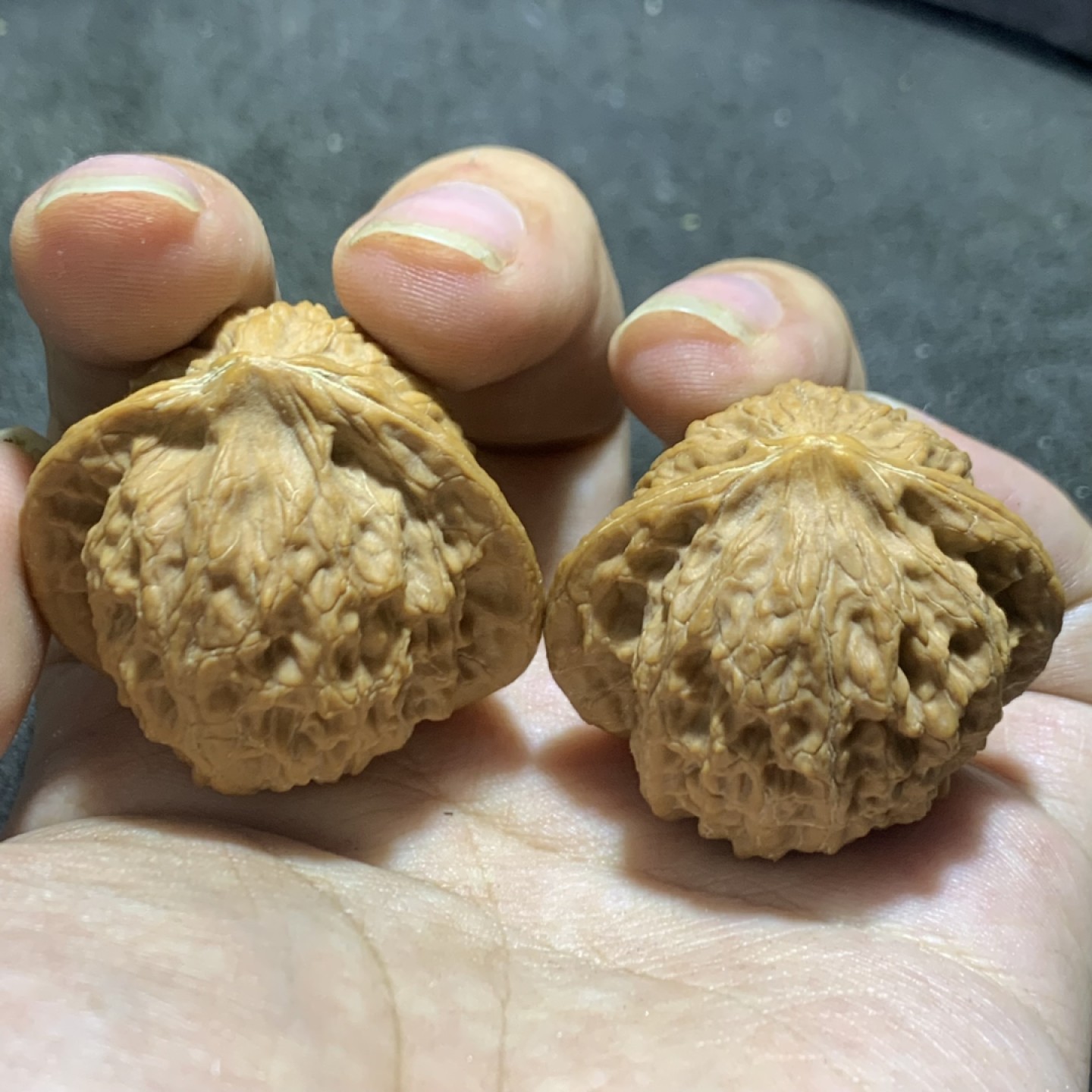 仅此一对，盘山公子帽文玩核桃麻核桃一对！