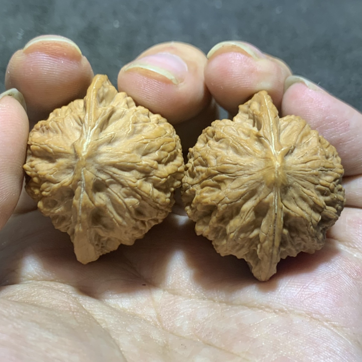 仅此一对，盘山公子帽文玩核桃麻核桃一对！