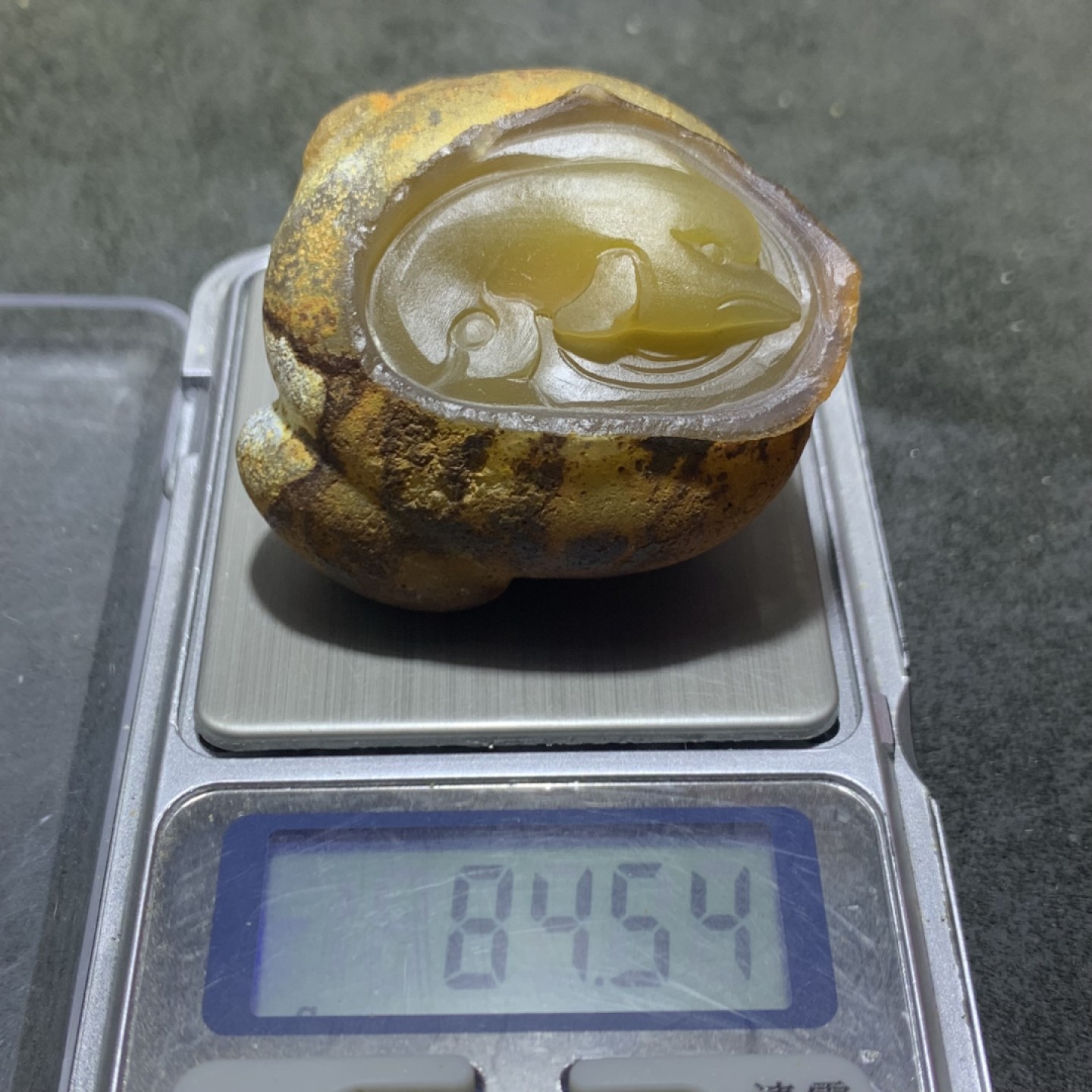 精美亚光蒙料战国红玛瑙高润度原皮雕刻海豚把件一个！