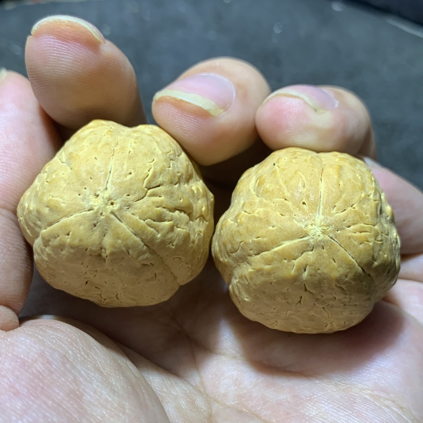 仅此一对，龙蛋玉化玄武 3瓣菩提一对
