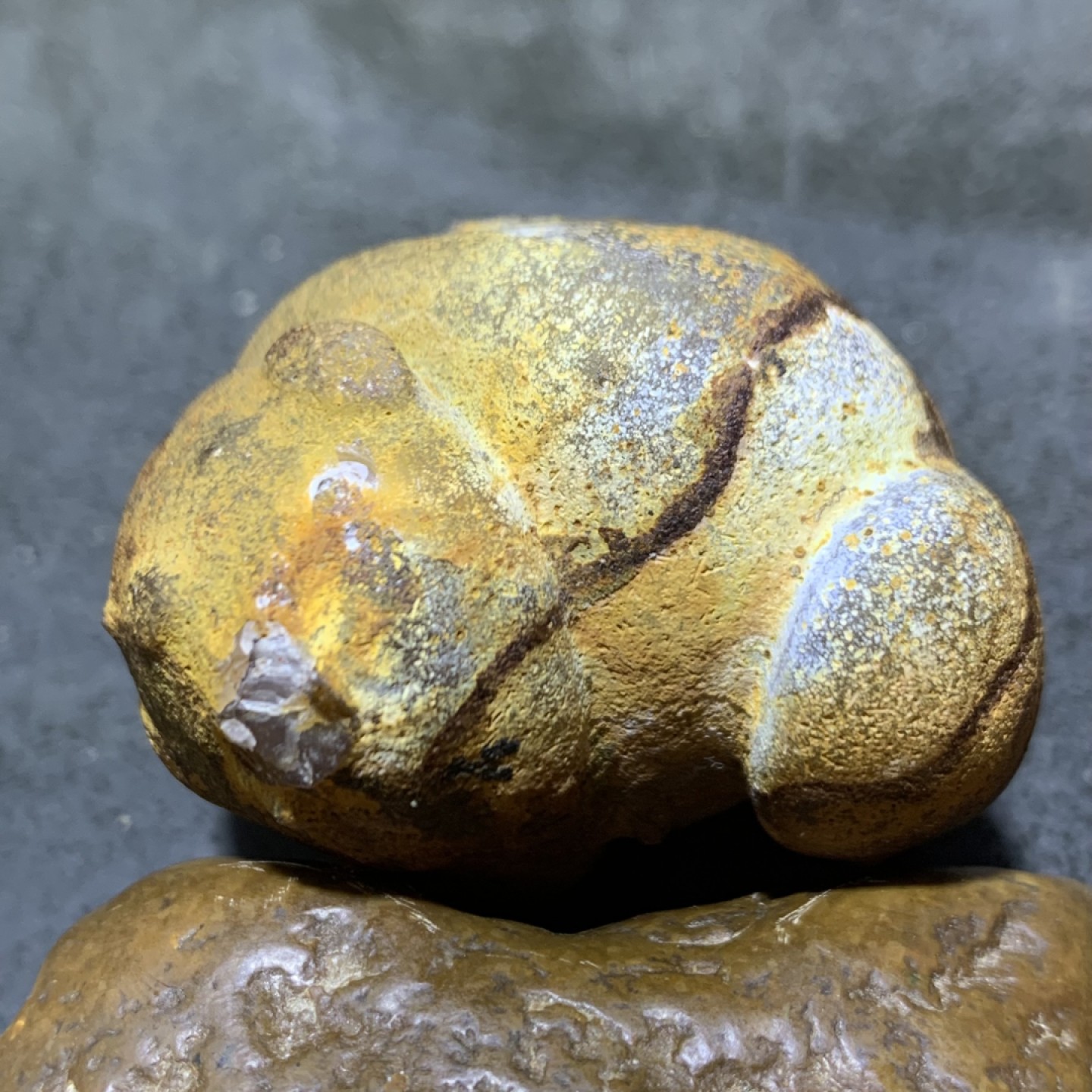 精美亚光蒙料战国红玛瑙高润度原皮雕刻海豚把件一个！