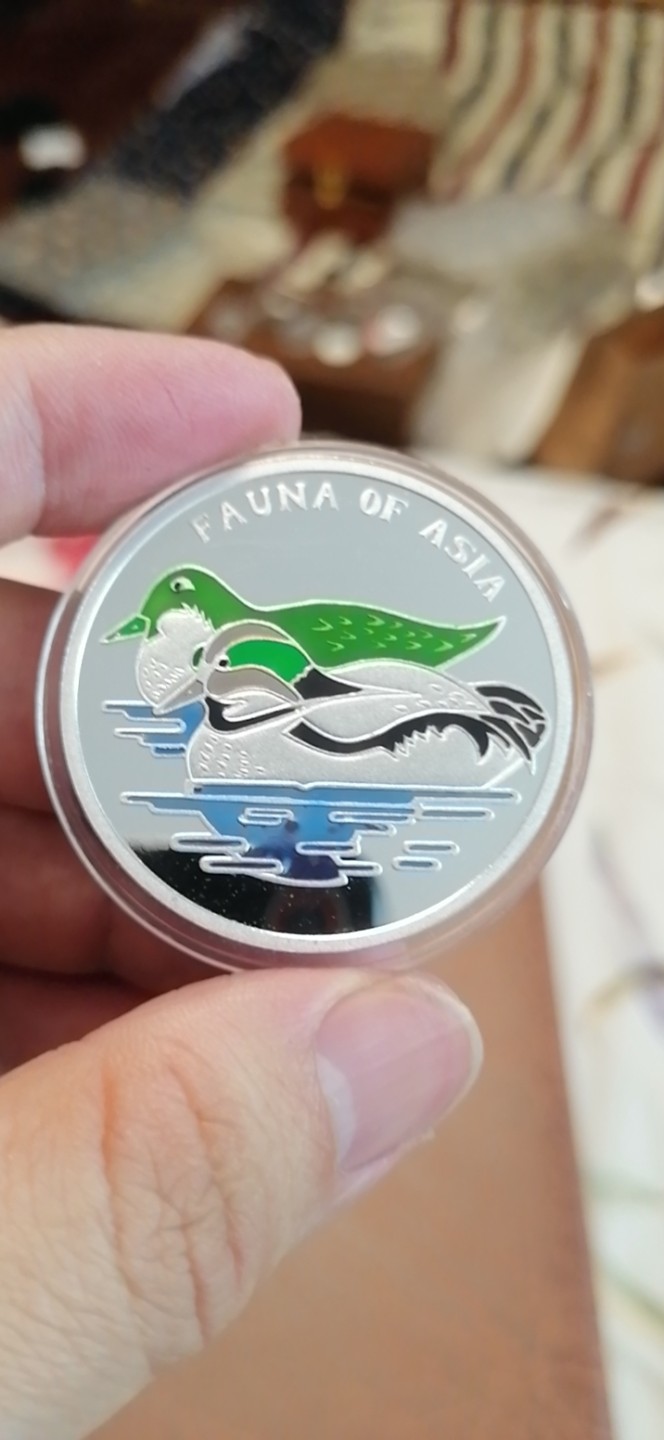 🇰🇵🇰🇵🇰🇵【朝鲜纪念币 精品第二场】🇰🇵🇰🇵🇰🇵 朝鲜2007年绿头鸭呈样铝币 品相如图