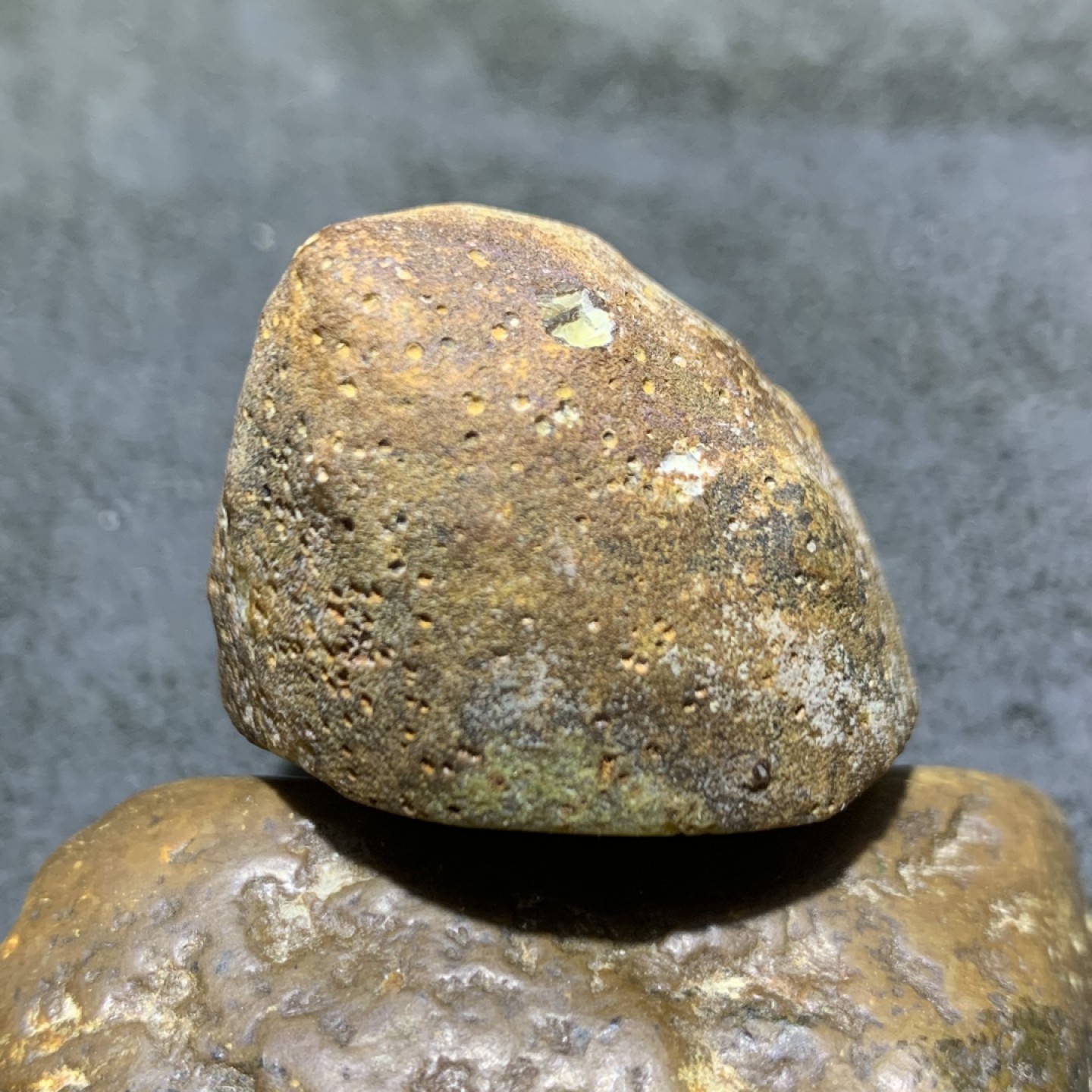 精美亚光蒙料战国红玛瑙高润度原皮雕刻象神吊坠一个