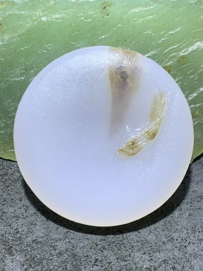 精美亚光高玉化草花纹海洋玉髓手工雕刻富贵有余牌子一个！ - 精美亚光高玉化草花纹海洋玉髓手工雕刻富贵有余牌子一个！