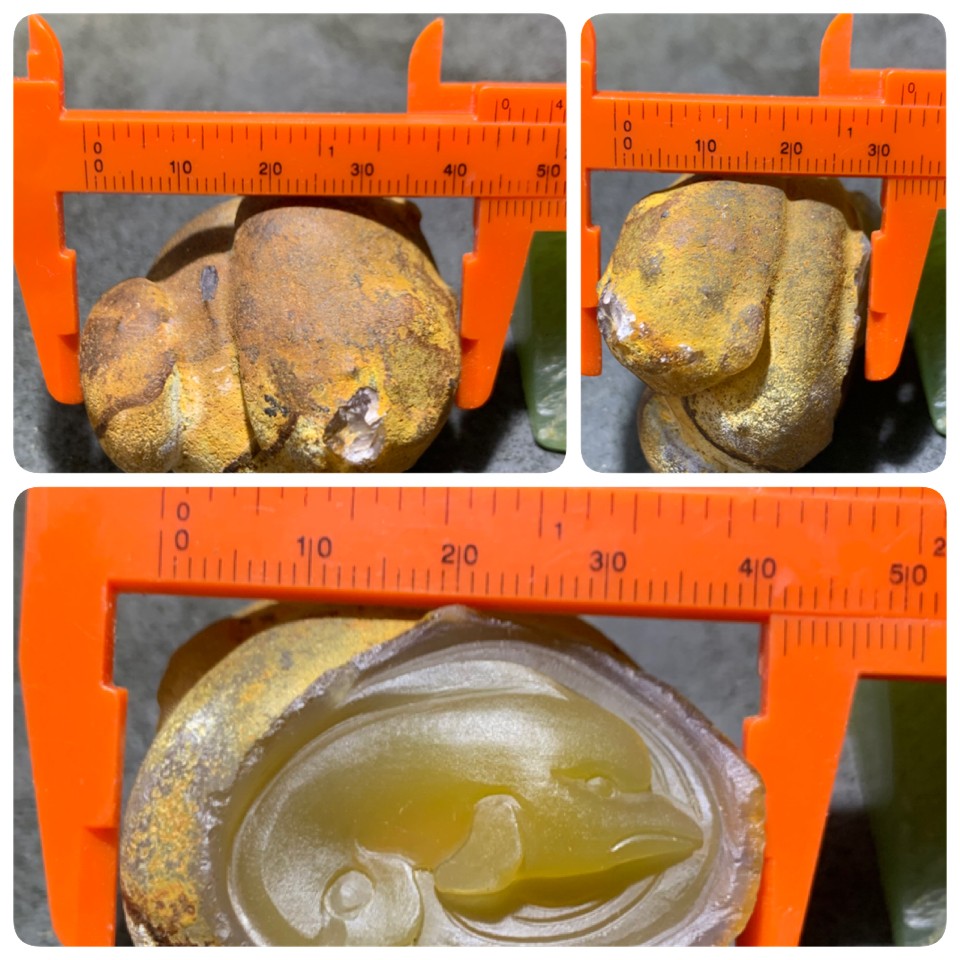 精美亚光蒙料战国红玛瑙高润度原皮雕刻海豚把件一个！