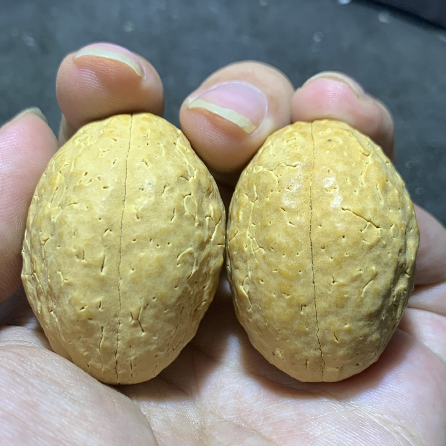 仅此一对，龙蛋玉化玄武 3瓣菩提一对
