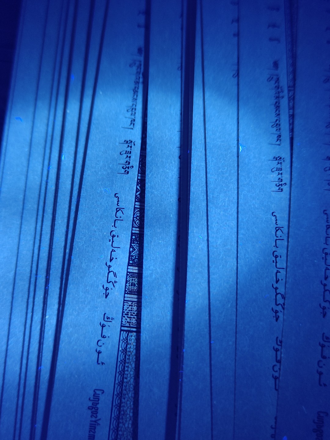 塞外藏品精品荧光币专场28 8001FA游丝飞絮标十