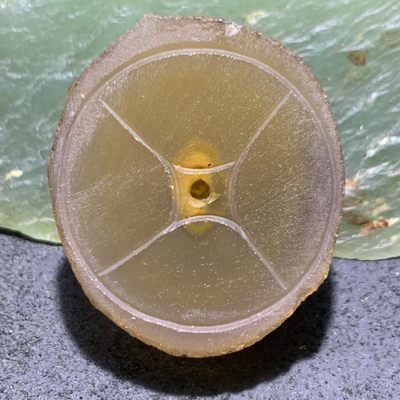 精美原皮蒙料战国红玛瑙高润度金沙料雕刻香插一个！ - 精美原皮蒙料战国红玛瑙高润度金沙料雕刻香插一个！