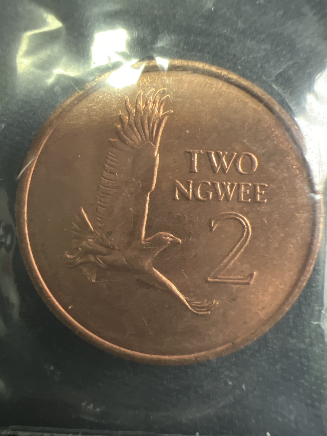 泡泡堂微拍第一 一 七幕硬币捡漏可累计专场👿👿，累计满二十元包邮，接受代拍业务 赞比亚2恩韦