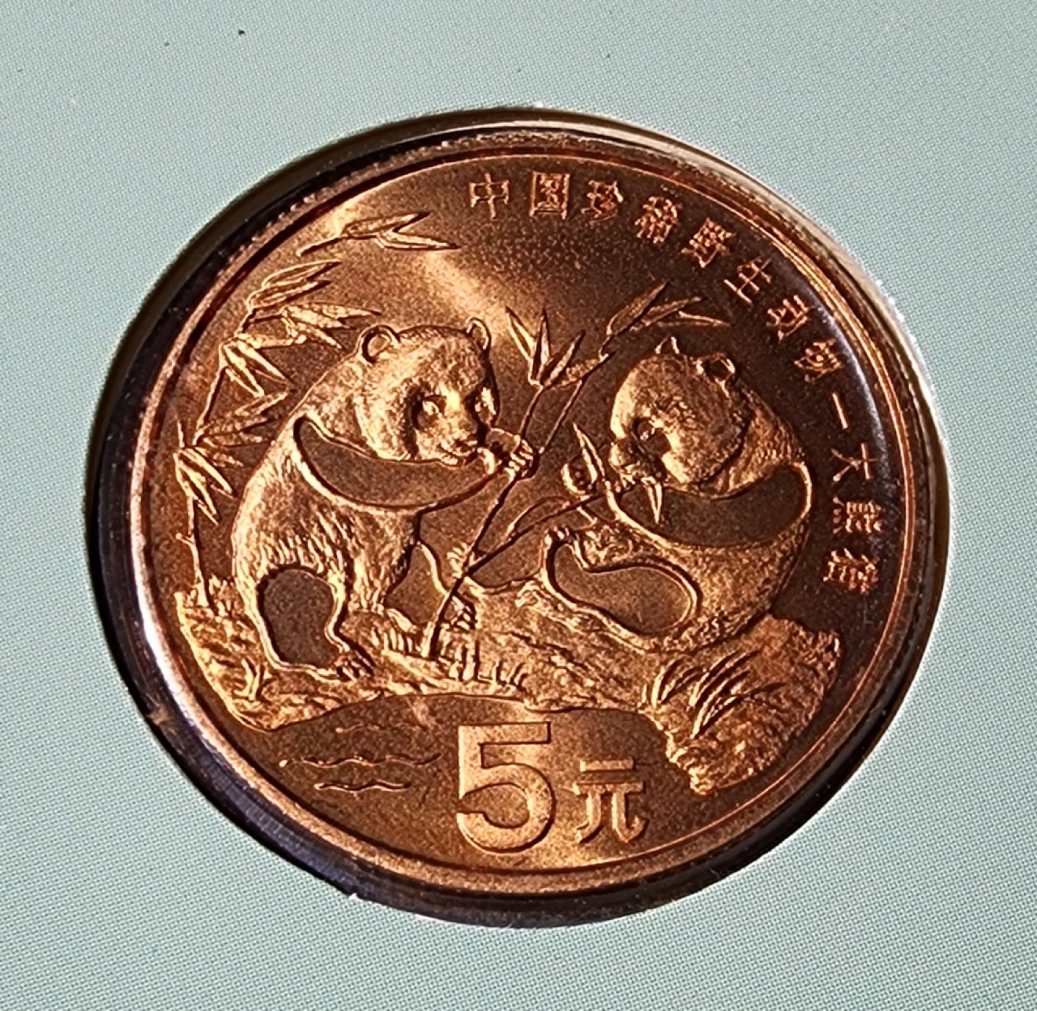 1993年中国珍稀动物-大熊猫5元纪念币