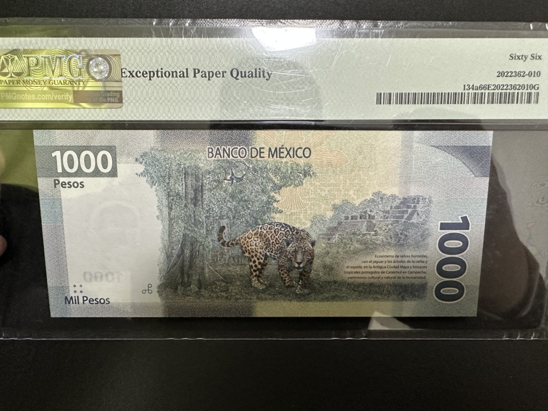 《外钞收藏家》第二百五十六期（评级场） 2019年墨西哥1000 PMG66