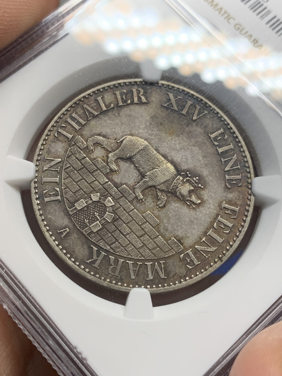 《竞宝斋》第150场-周日，周一，周四 3场 (全场包邮) NGC AU58 安哈特小熊爬墙泰勒 银币 1852最少年份，10000发行，早期直径大 重量重，比186X少见！五彩，细节无敌，熊身栩栩如生，炫技作品