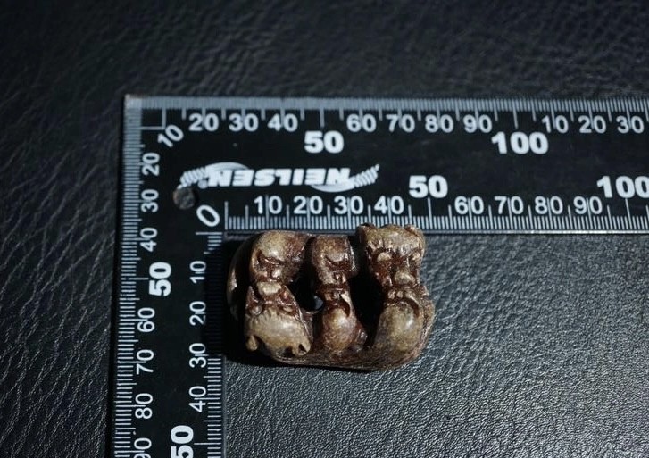 ｜冷门出品｜精选专拍·第贰拾陆场· 老地方玉双獾把件