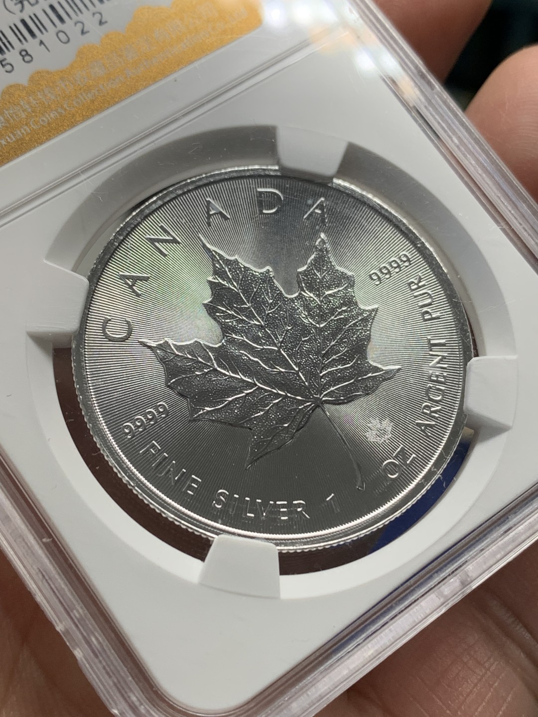《竞宝斋》第150场-周日，周一，周四 3场 (全场包邮) 加拿大 2017年 枫叶 1盎司银币 31.1克 9999含银量 状态好
