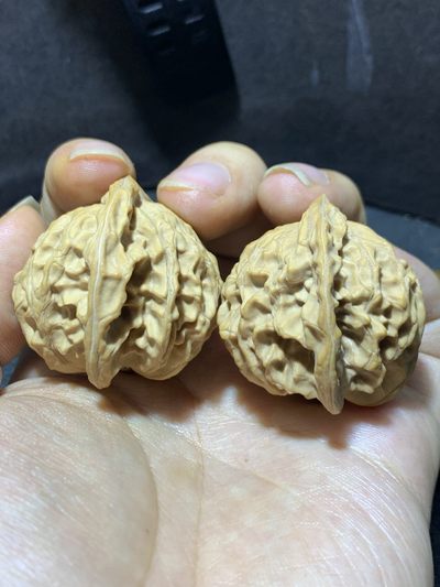 仅此一对，精美盘山公子帽文玩核桃麻核桃一对！ - 仅此一对，精美盘山公子帽文玩核桃麻核桃一对！