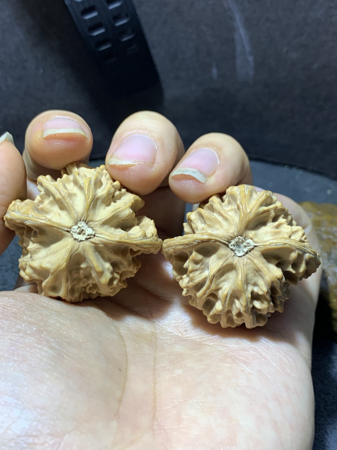 仅此一对，精美盘山公子帽文玩核桃麻核桃一对！
