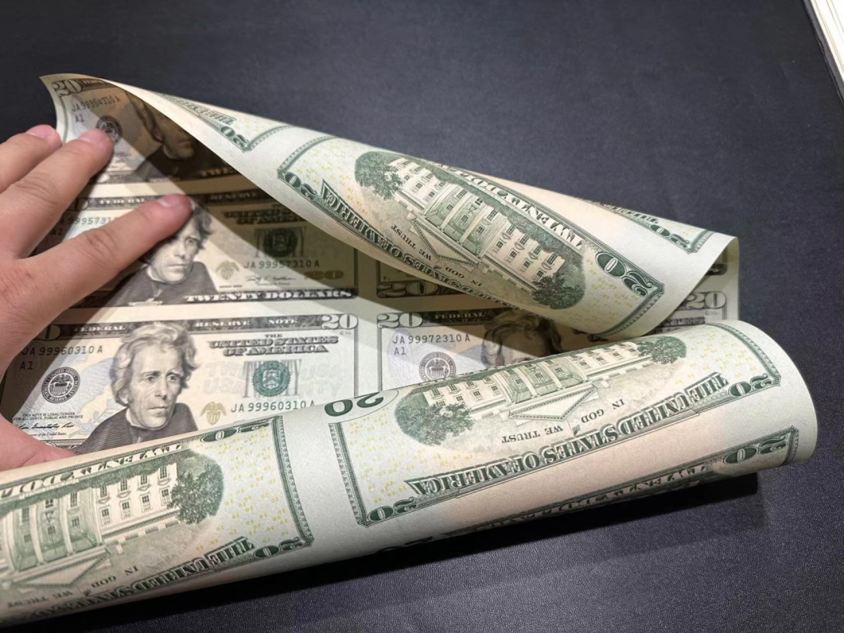 《外钞收藏家》第二百五十八期（连拍第三场） 2009年20美元 16连体 全新