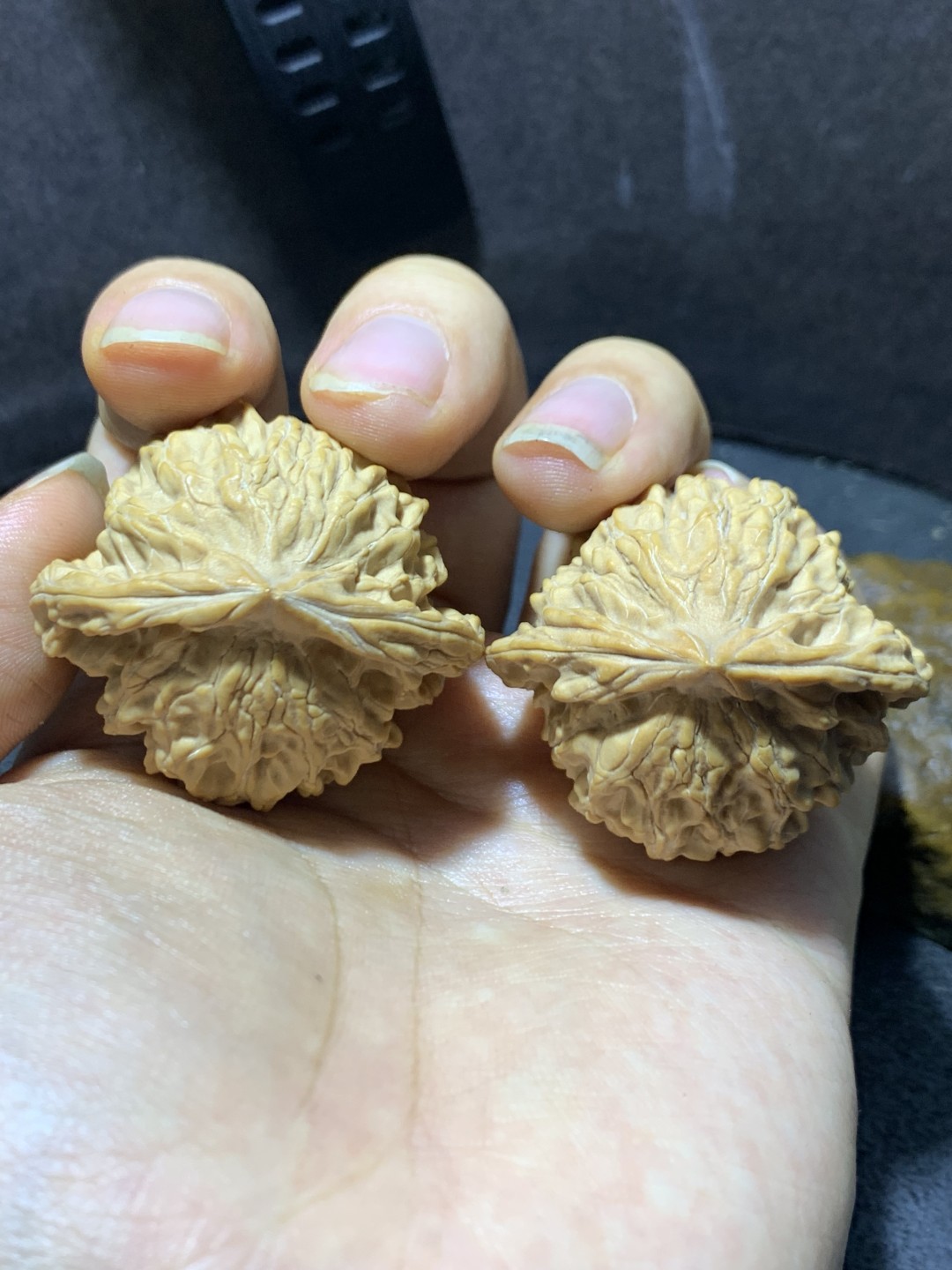 仅此一对，精美盘山公子帽文玩核桃麻核桃一对！