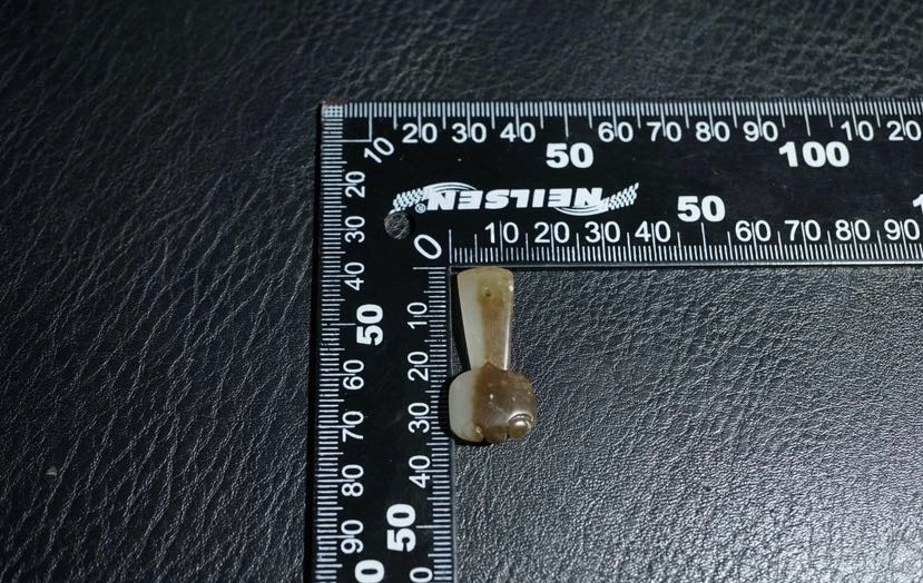 ｜冷门出品｜精选专拍·第贰拾柒场· 明清工老和田玉如意挂件