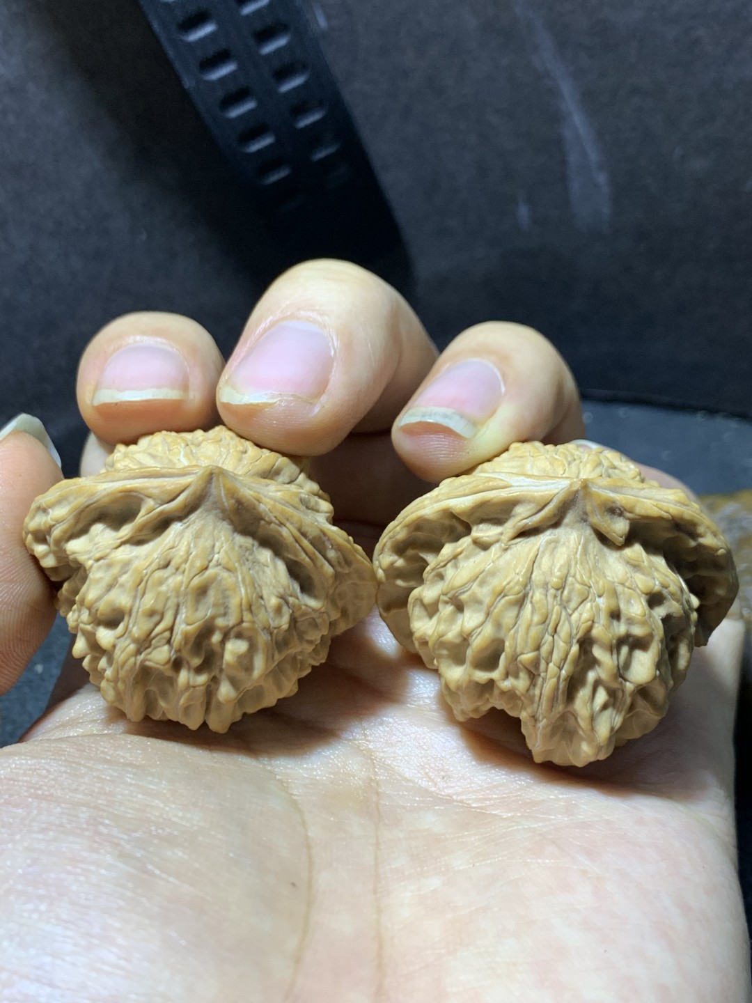 仅此一对，精美盘山公子帽文玩核桃麻核桃一对！
