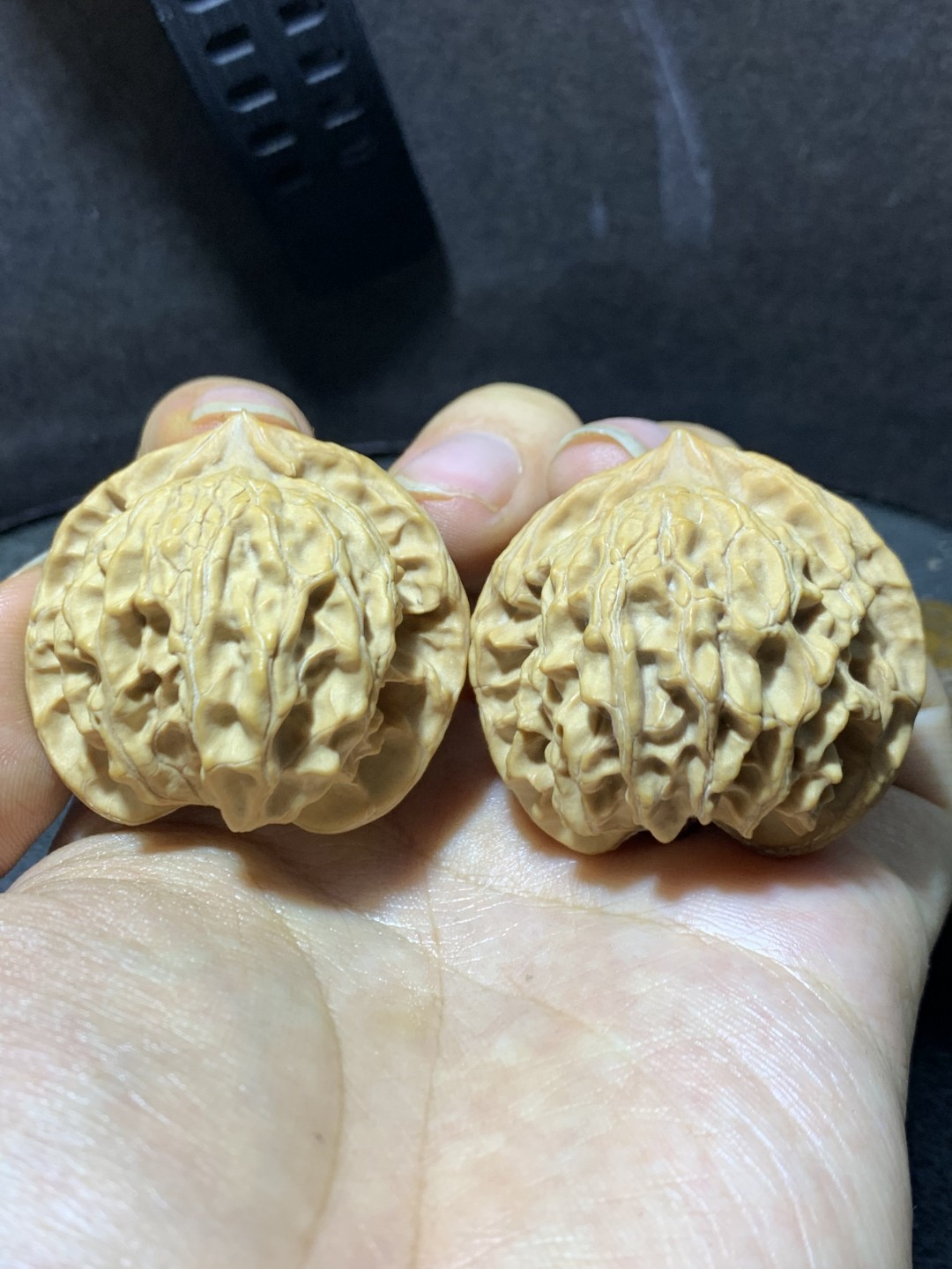 仅此一对，精美盘山公子帽文玩核桃麻核桃一对！
