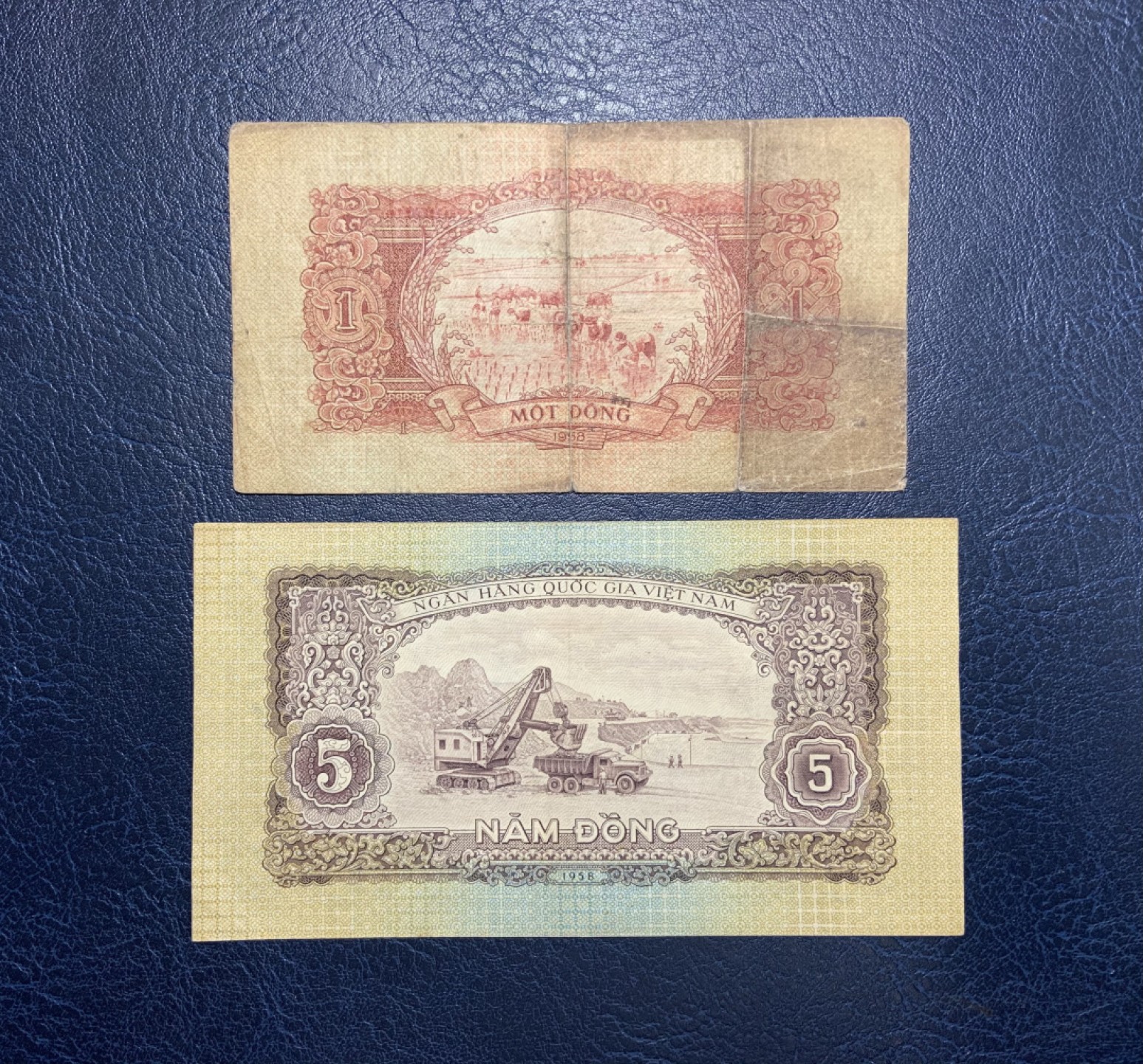 收藏联盟Quantum Auction 第247期拍卖 越南1958年1和5盾 品相如图 中国代印