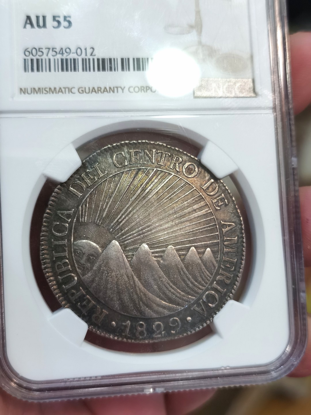 博洋堂世界钱币拍卖第022期（全场包邮） NGC AU55 中美洲危地马拉1829年太阳脸小树大银币 8里亚尔 原味包浆  收藏热门