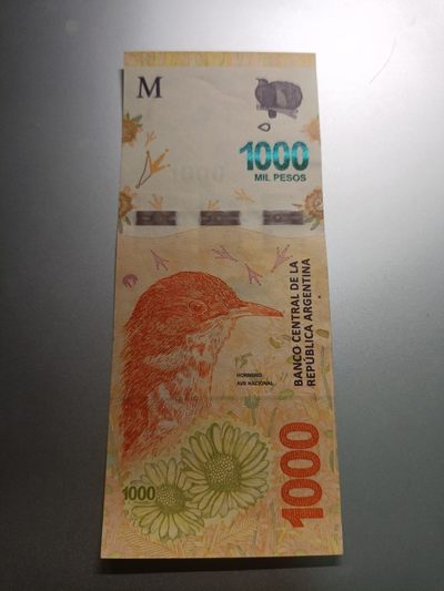 【专场20230405】掇菁撷华第IV期——世界精选纸币专场（20230406已更新）（本周就那么一场，我得歇歇） - 【拍品002E】阿根廷2018版1000比索全新UNC