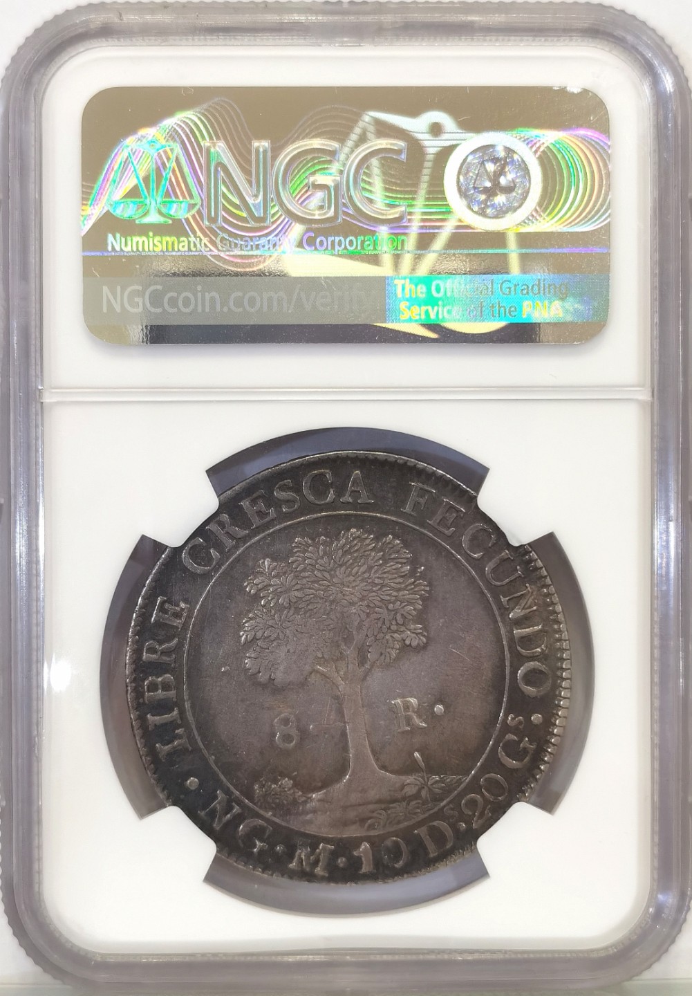 博洋堂世界钱币拍卖第022期（全场包邮） NGC AU55 中美洲危地马拉1829年太阳脸小树大银币 8里亚尔 原味包浆  收藏热门