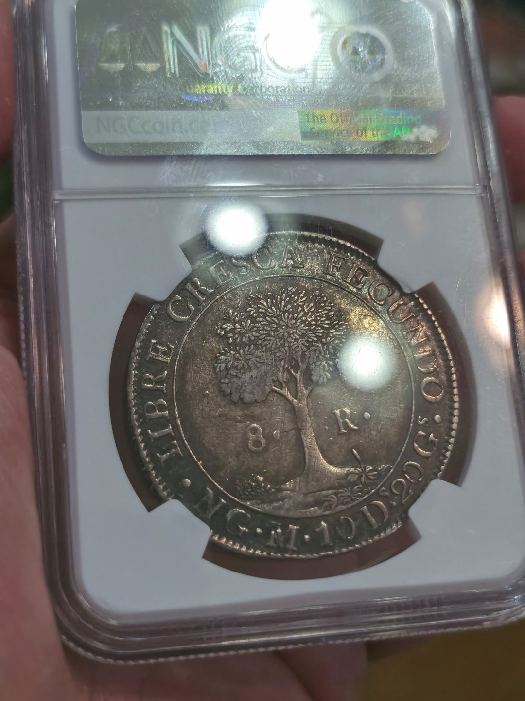 博洋堂世界钱币拍卖第022期（全场包邮） NGC AU55 中美洲危地马拉1829年太阳脸小树大银币 8里亚尔 原味包浆  收藏热门