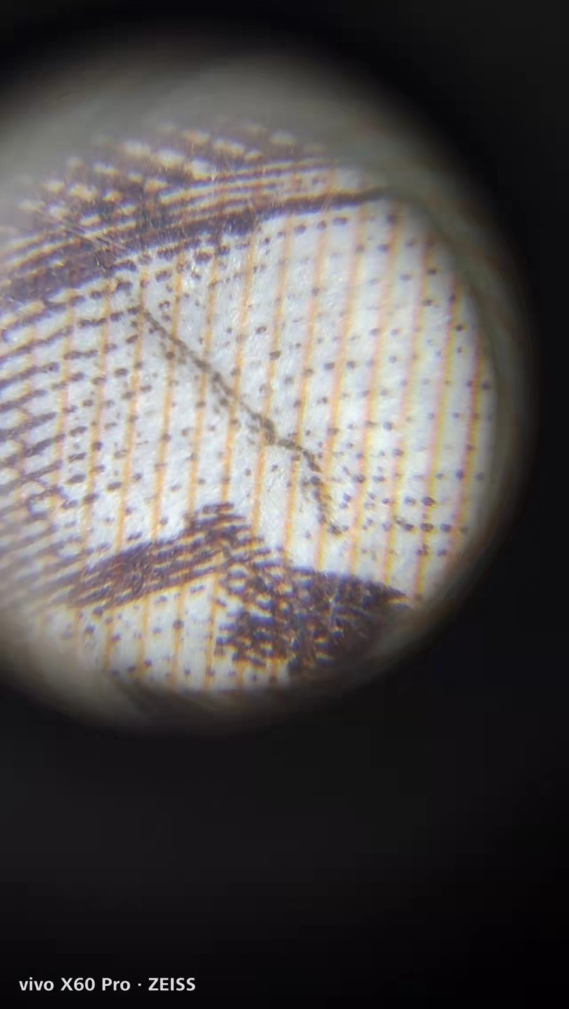 塞外藏品精品荧光币专场28 ER金疤人（战神红)绝品裸币一枚