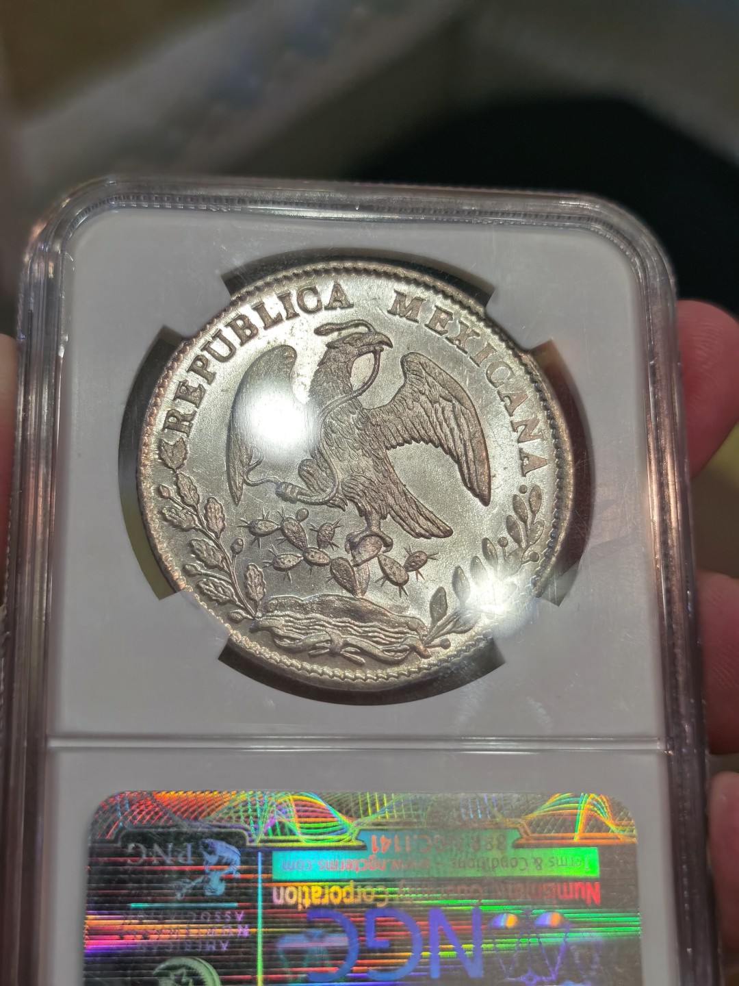 博洋堂世界钱币拍卖第022期（全场包邮） NGC MS64 墨西哥1858年MO FH版花边鹰洋 镜面感十足 N早期评级没给PL 但状态可PK所有PL鹰洋