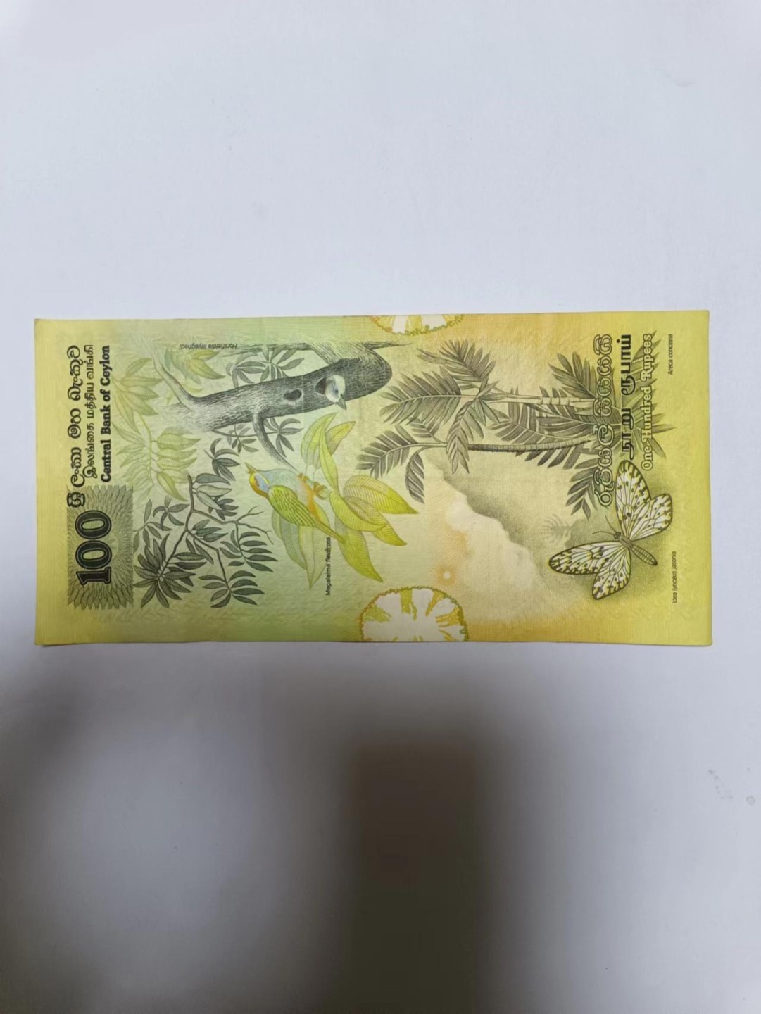【20230407】非流通纸币第十二场 斯里兰卡卢比